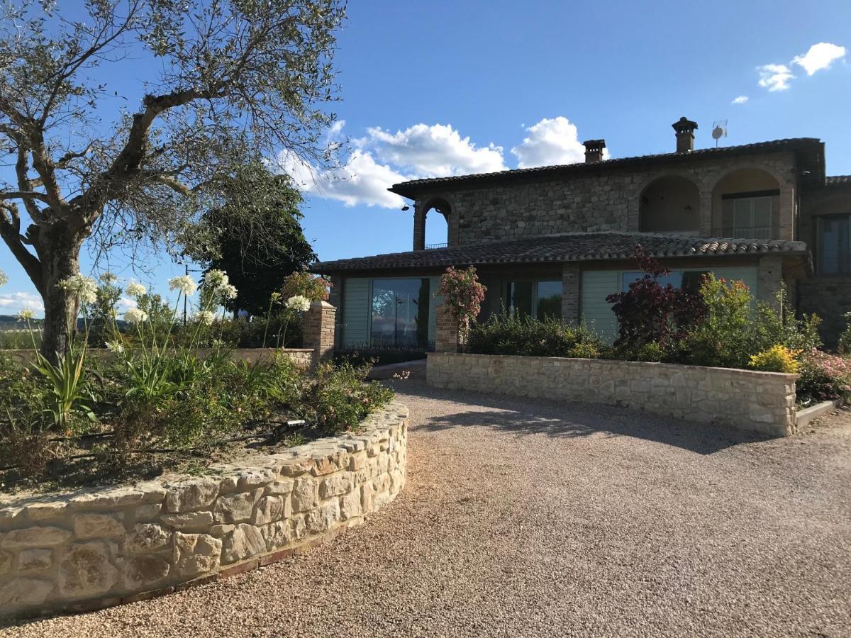 Agriturismo Fattoria Di Monticello San Venanzo Buitenkant foto